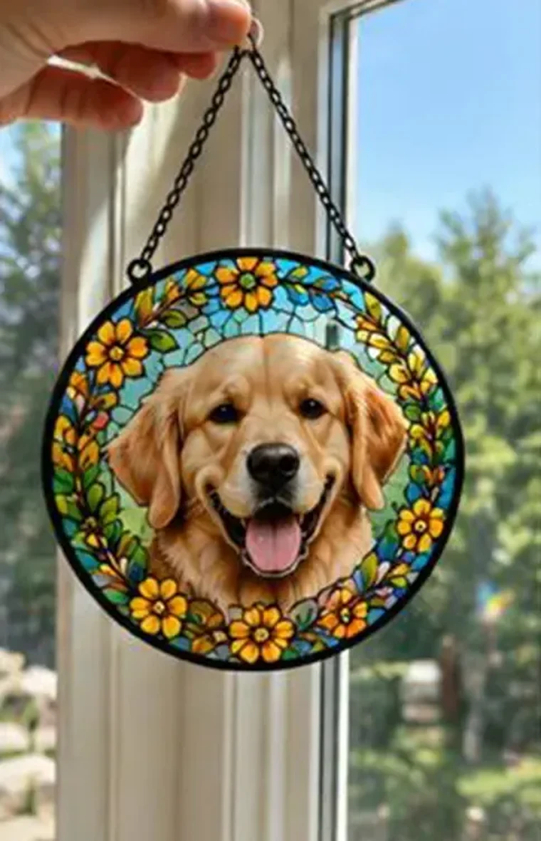 Clip the Chain & Hang in the Sun